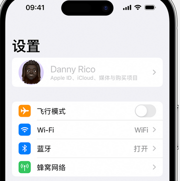 道里appleID维修服务iPhone设置中Apple ID显示为灰色无法使用 