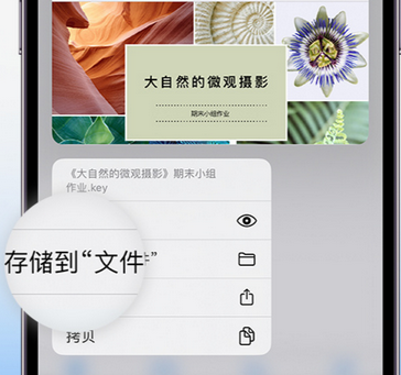 道里apple维修中心分享iPhone文件应用中存储和找到下载文件