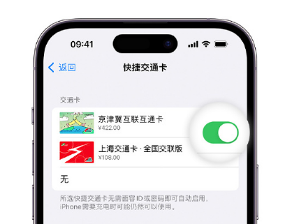 道里apple维修点分享iPhone上更换Apple Pay快捷交通卡手绘卡面 