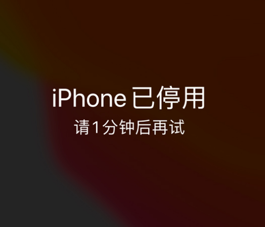 道里苹果手机维修分享:iPhone 显示“不可用”或“已停用”怎么办？还能保留数据吗？ 