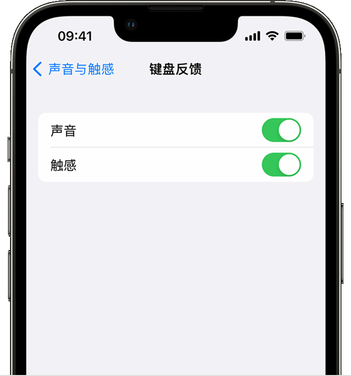 道里苹果14维修店分享如何在 iPhone 14 机型中使用触感键盘 