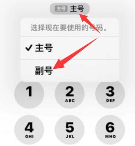 道里苹果14维修店分享iPhone 14 Pro Max使用副卡打电话的方法 