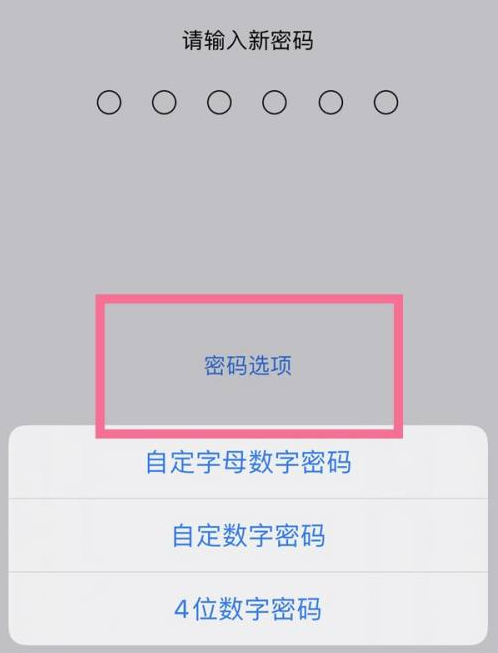 道里苹果14维修分享iPhone 14plus设置密码的方法 