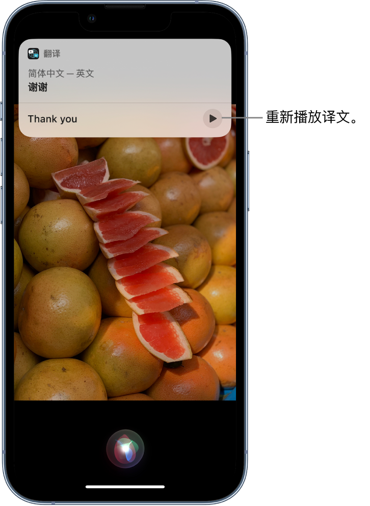 道里苹果14维修分享 iPhone 14 机型中使用 Siri：了解 Siri 能帮你做什么 