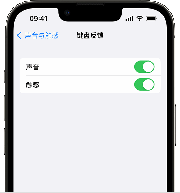 道里苹果14维修分享iPhone 14 系列机型如何开启键盘声音或触感反馈 