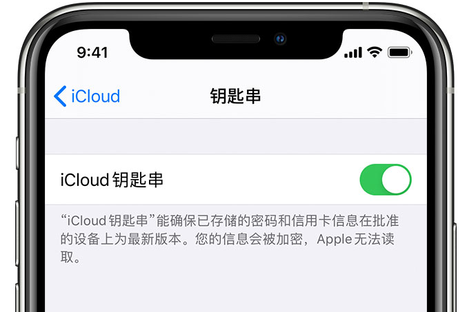 道里苹果手机维修分享在 iPhone 上开启 iCloud 钥匙串之后会储存哪些信息 