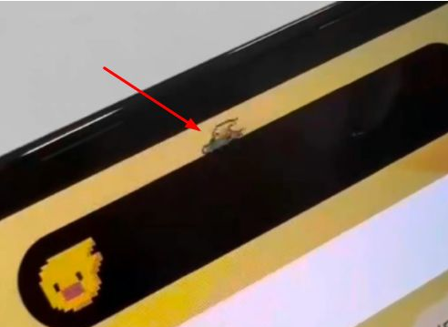 道里苹果14维修分享iPhone 14 Pro Max灵动岛怎么养宠物 