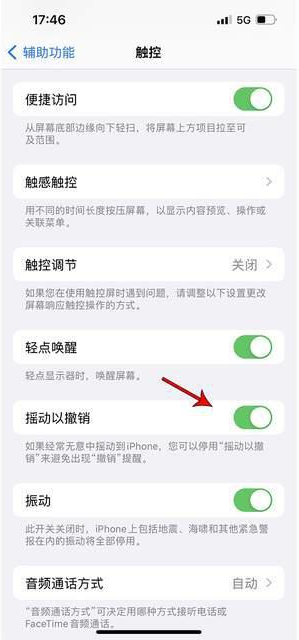 道里苹果手机维修分享iPhone手机如何设置摇一摇删除文字 