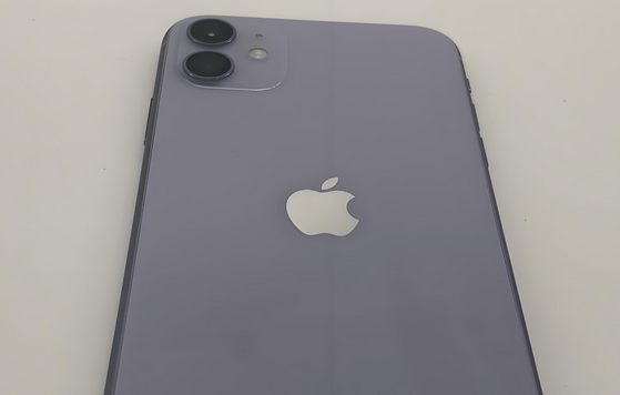 道里苹果11系统维修分享iPhone11手机系统崩溃无法开机如何解决 